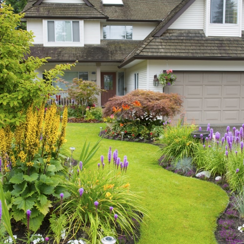 Landscaping