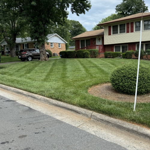 Lawn Maintenance
